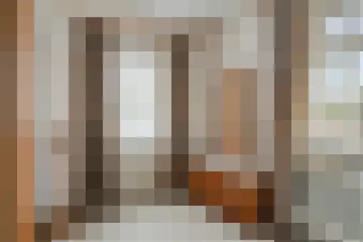 Burgtstraat 49 Boekel thumbnail 30