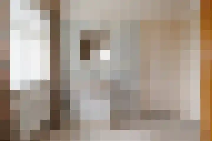 Burgtstraat 49 Boekel thumbnail 31