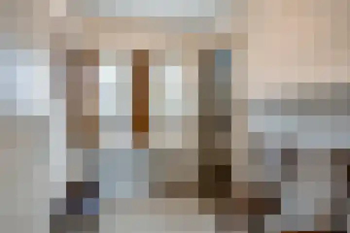 Burgtstraat 49 Boekel thumbnail 32