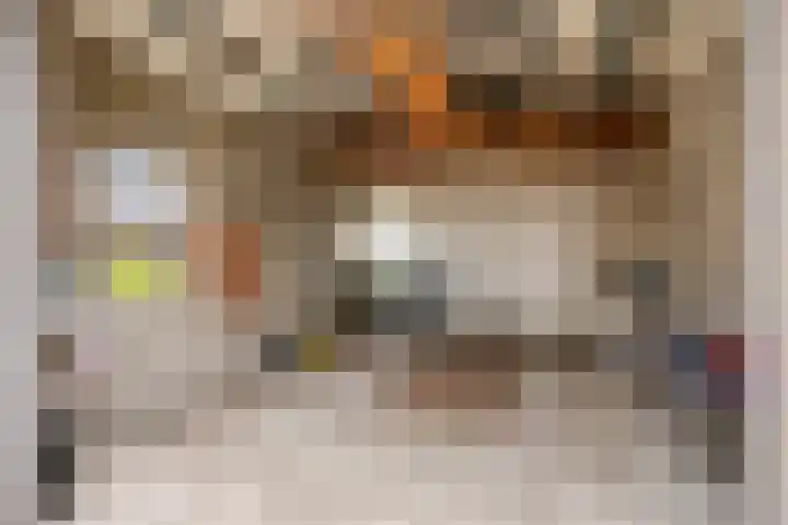 Burgtstraat 49 Boekel thumbnail 38