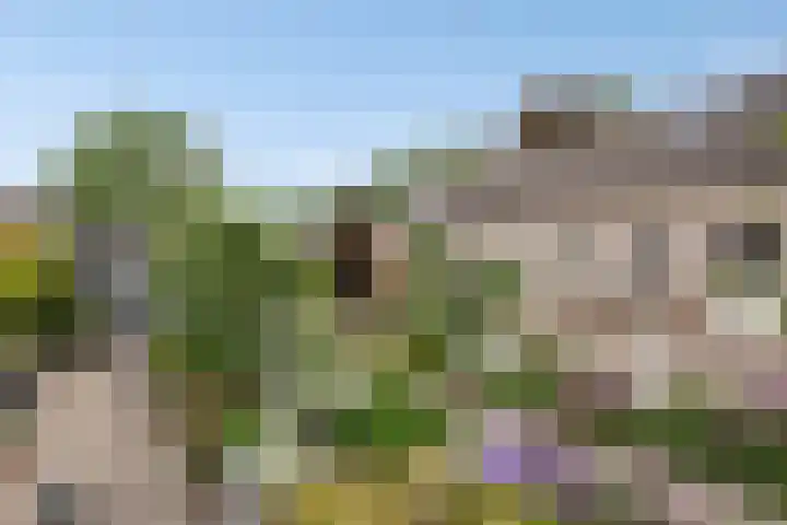 Burgtstraat 49 Boekel thumbnail 45