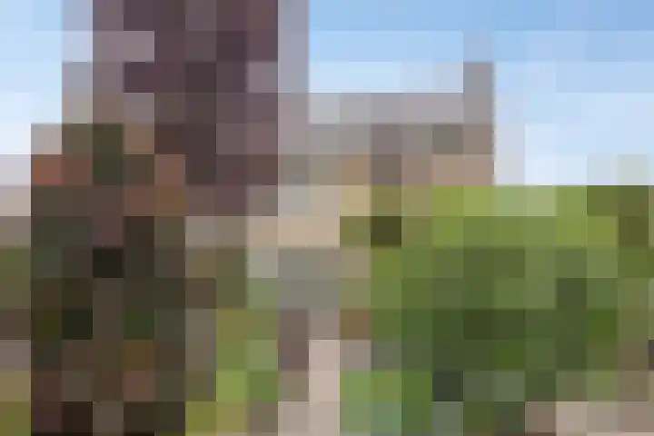 Burgtstraat 49 Boekel thumbnail 47