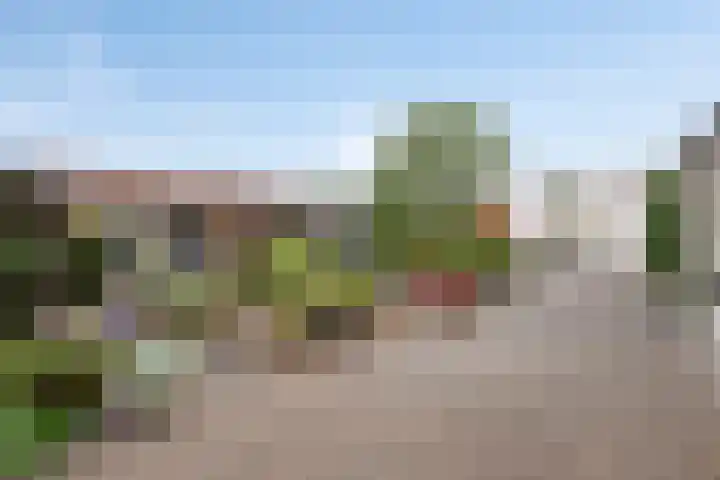 Burgtstraat 49 Boekel thumbnail 48