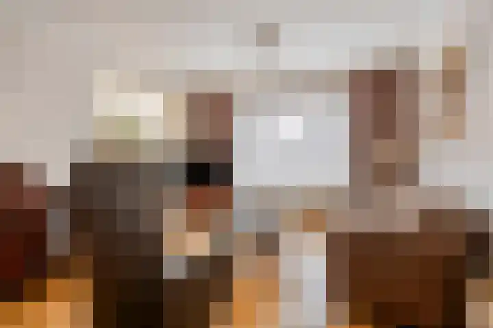 Burgtstraat 49 Boekel thumbnail 9