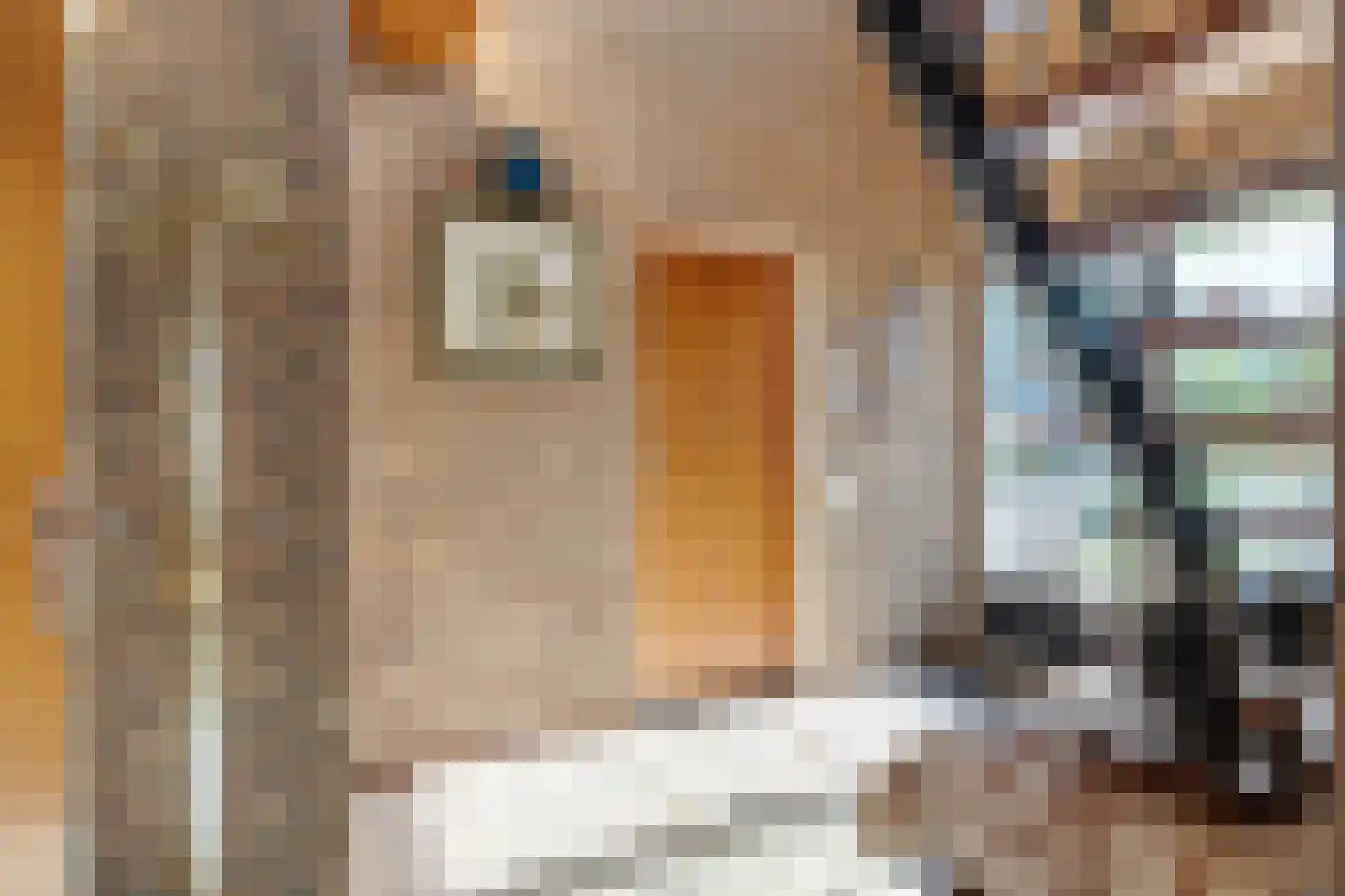 Burgtstraat 59 Boekel thumbnail 11