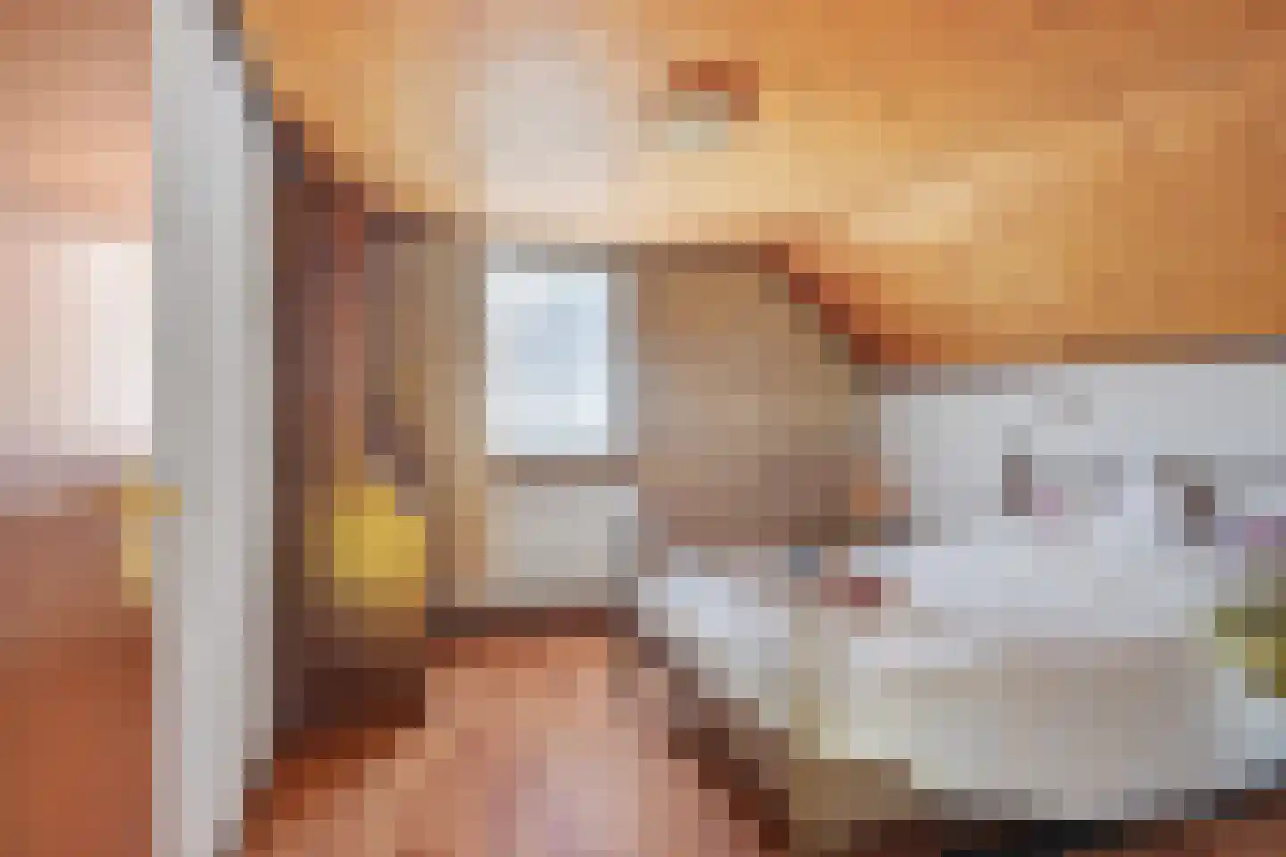 Burgtstraat 59 Boekel thumbnail 16
