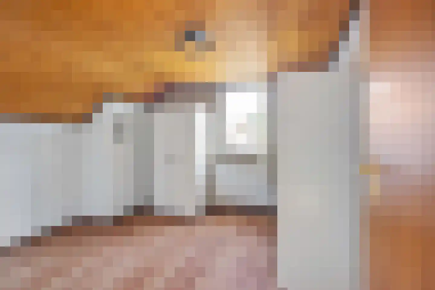 Burgtstraat 59 Boekel thumbnail 20