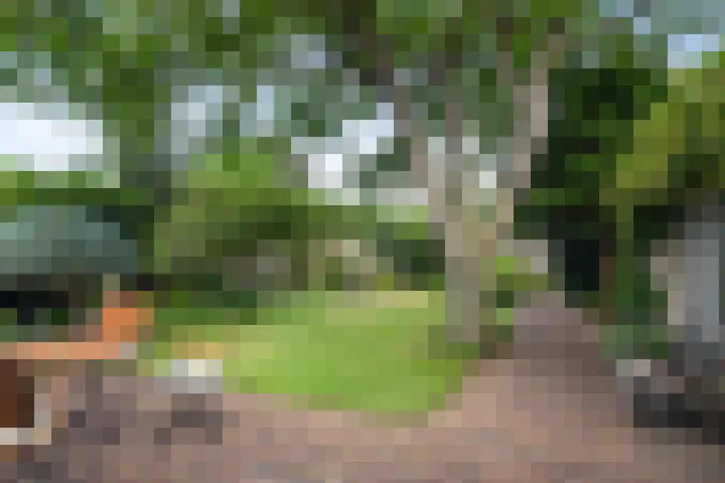 Burgtstraat 59 Boekel thumbnail 23