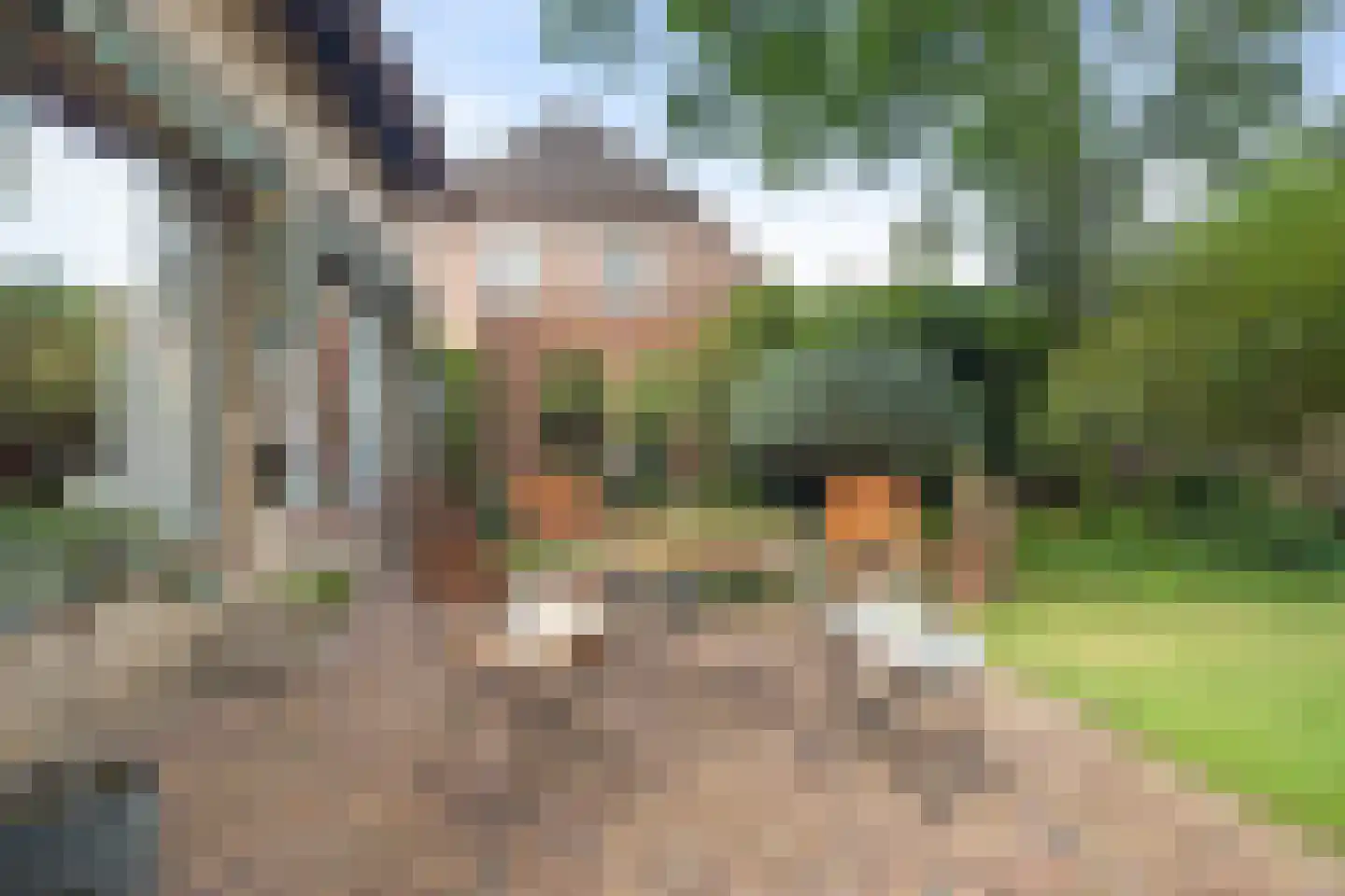 Burgtstraat 59 Boekel thumbnail 24