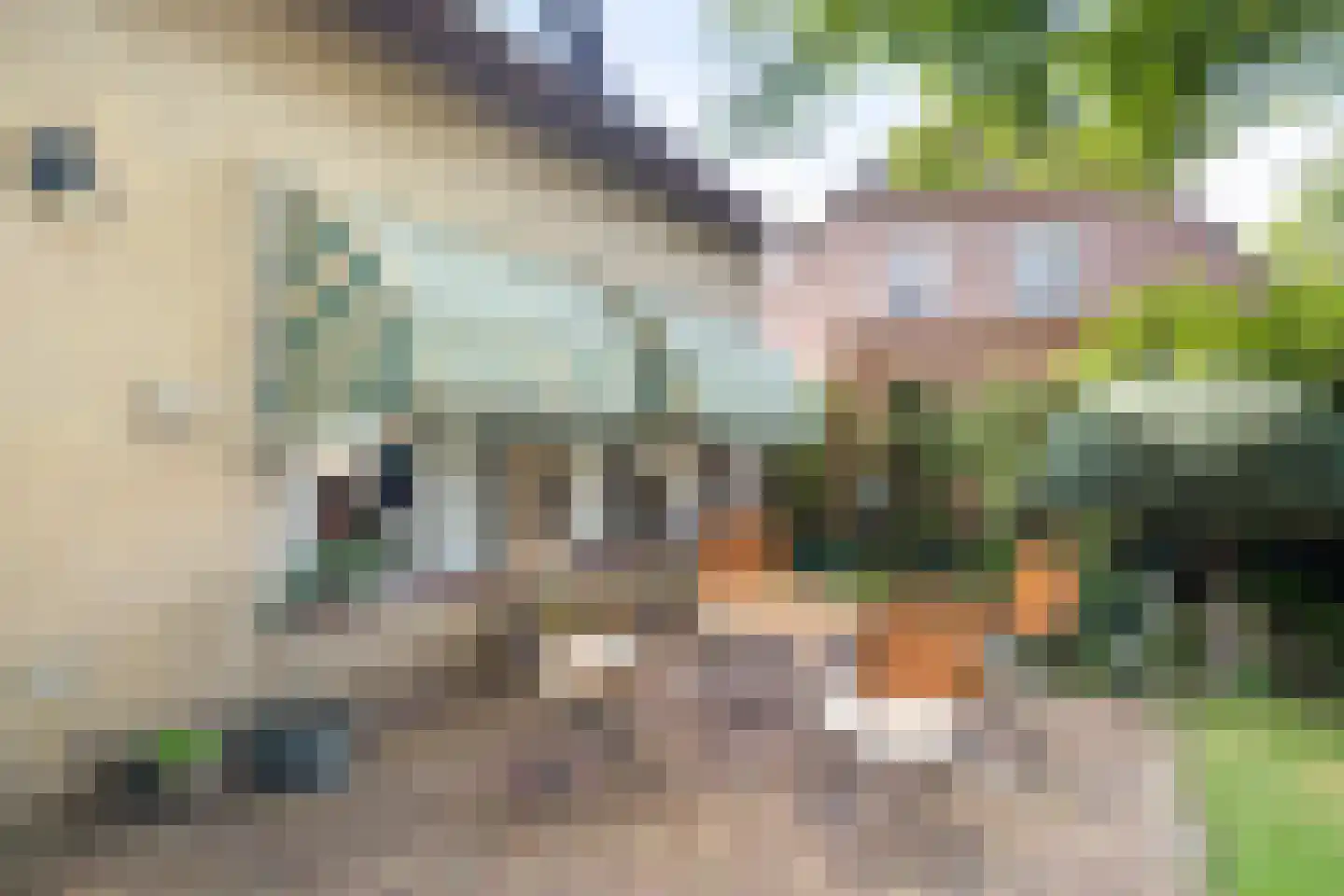Burgtstraat 59 Boekel thumbnail 25