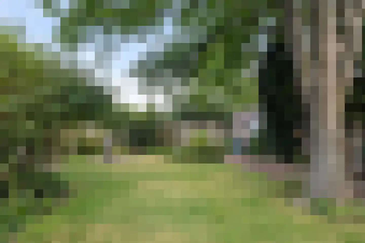 Burgtstraat 59 Boekel thumbnail 26