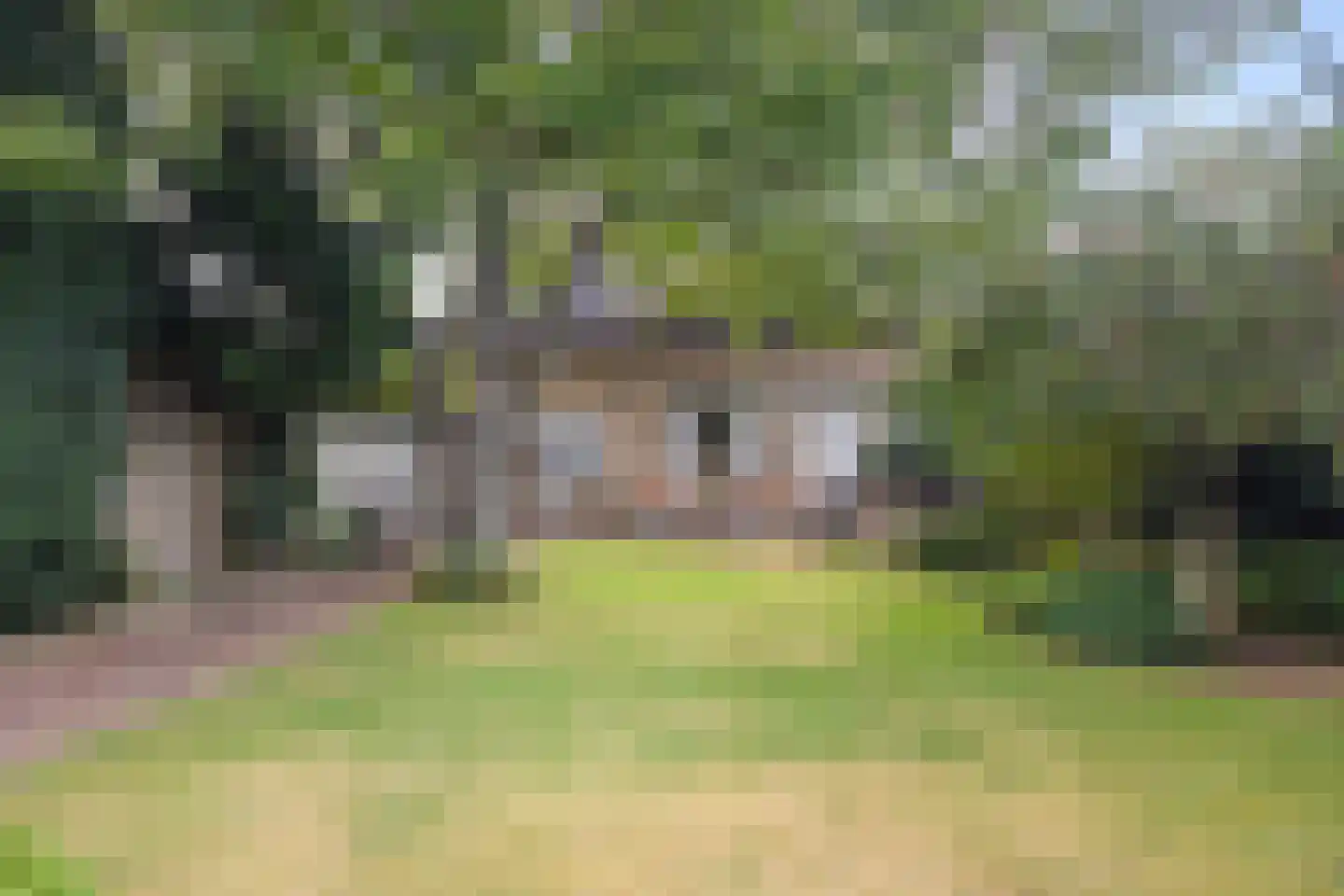 Burgtstraat 59 Boekel thumbnail 27