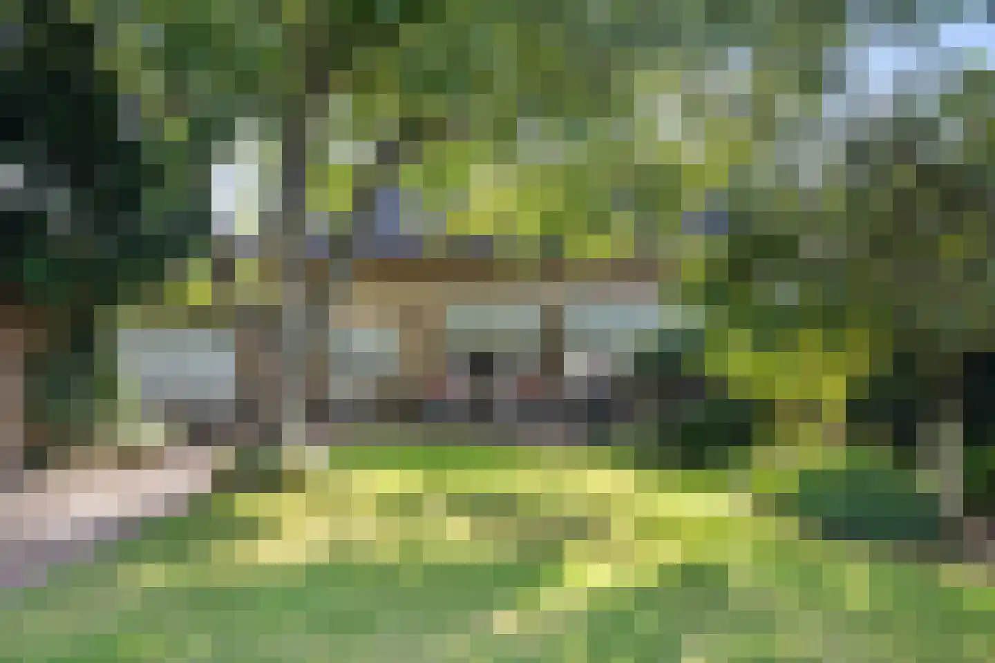 Burgtstraat 59 Boekel thumbnail 28