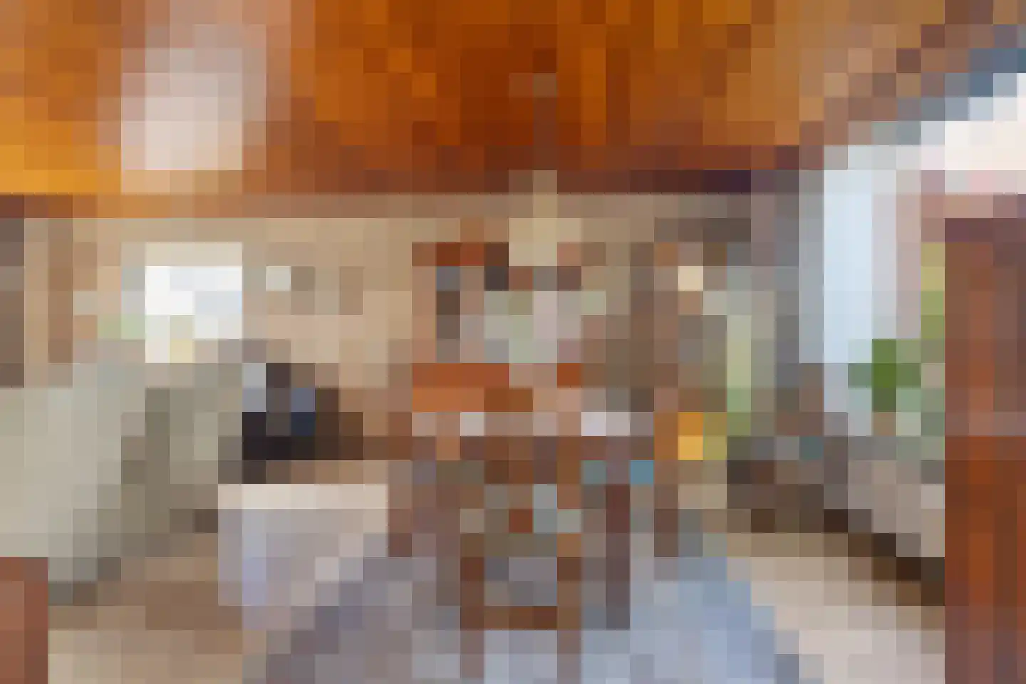Burgtstraat 59 Boekel thumbnail 5