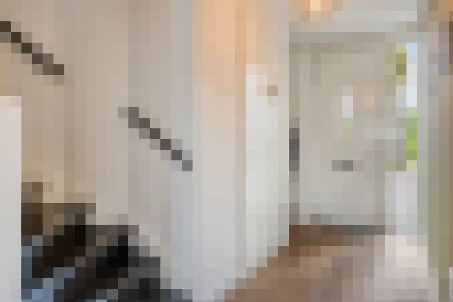 Burgtstraat 9 Boekel thumbnail 11