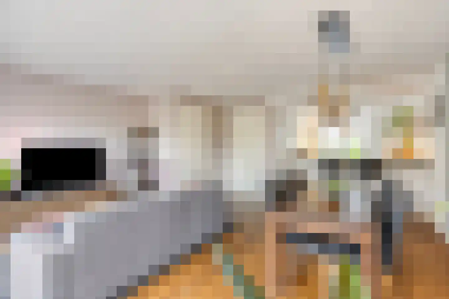 Burgtstraat 9 Boekel thumbnail 17