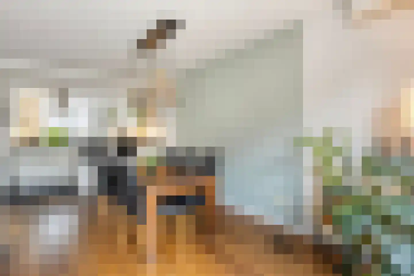 Burgtstraat 9 Boekel thumbnail 18