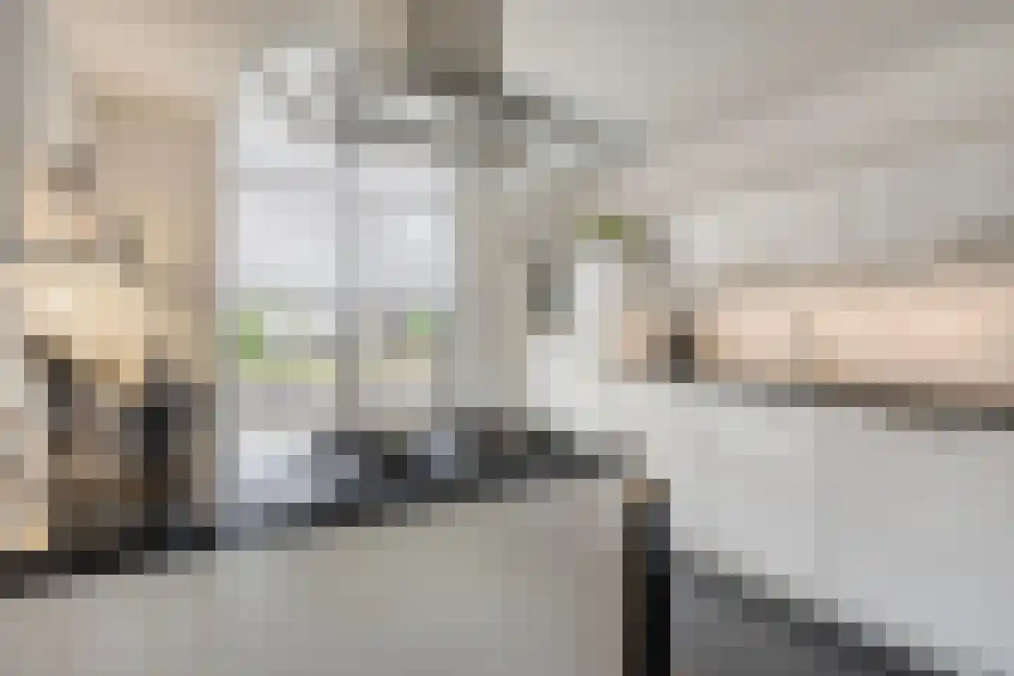 Burgtstraat 9 Boekel thumbnail 21