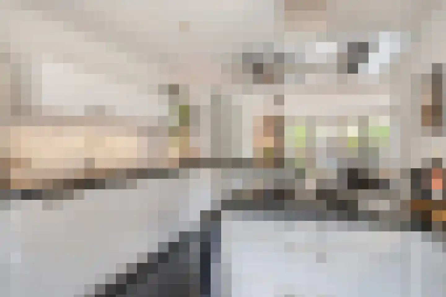 Burgtstraat 9 Boekel thumbnail 22