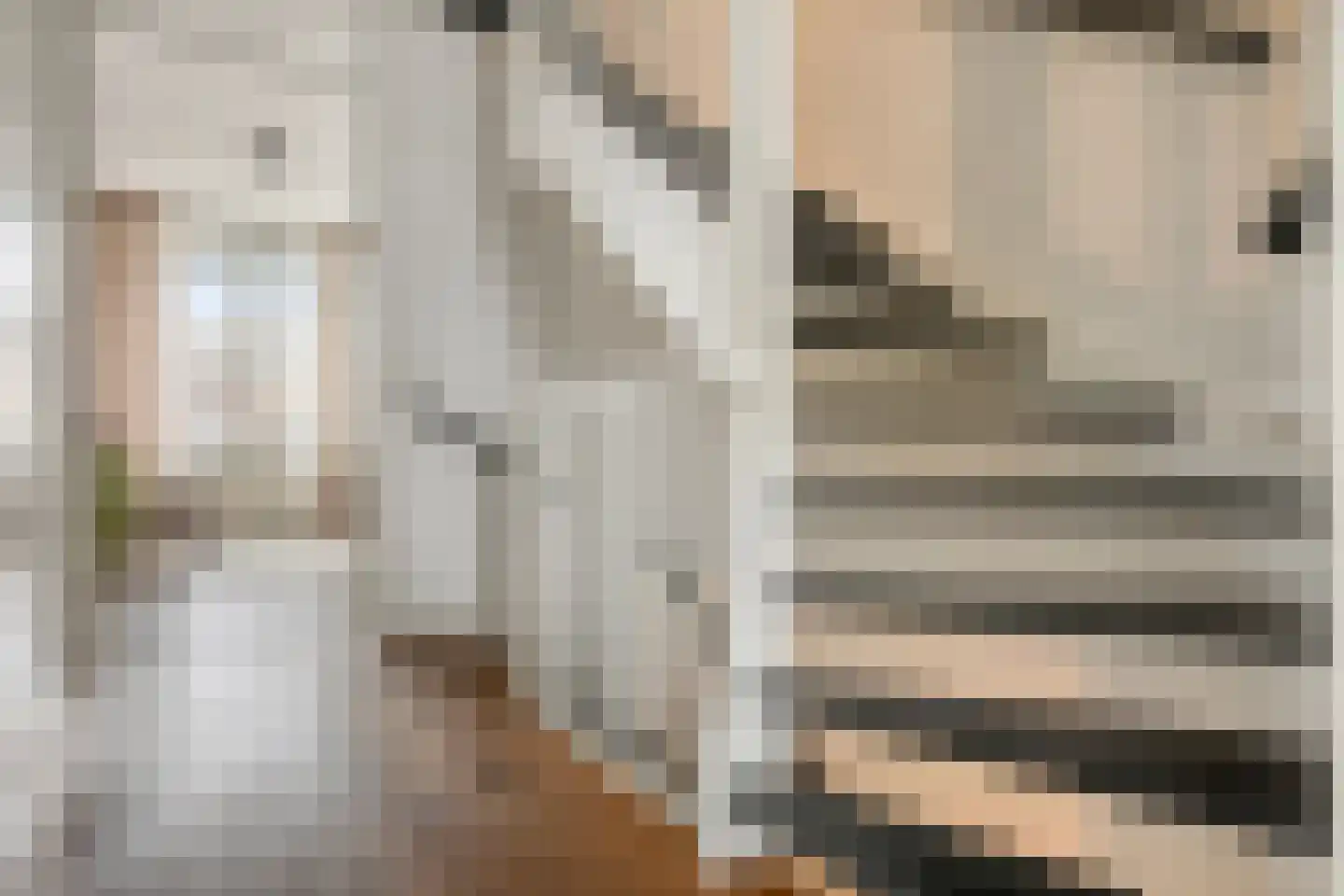 Burgtstraat 9 Boekel thumbnail 27