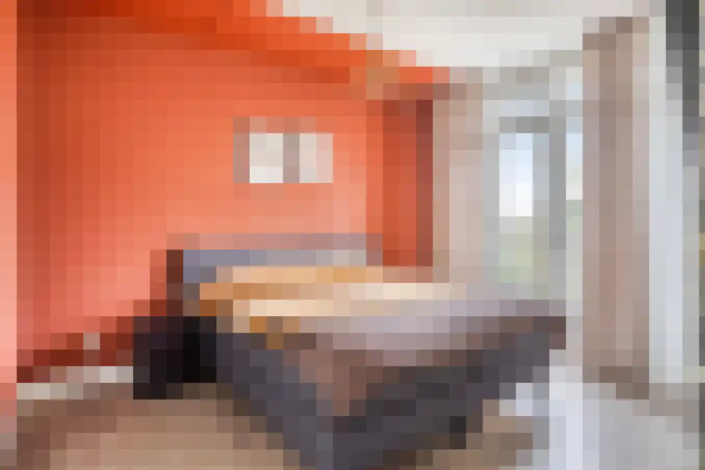 Burgtstraat 9 Boekel thumbnail 28