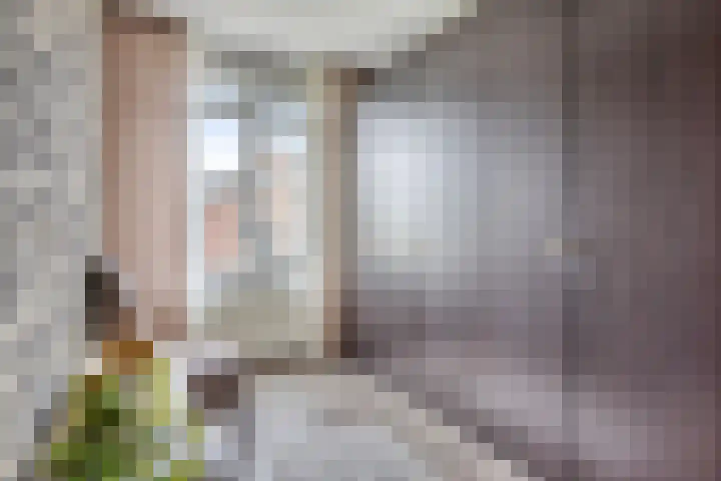 Burgtstraat 9 Boekel thumbnail 30