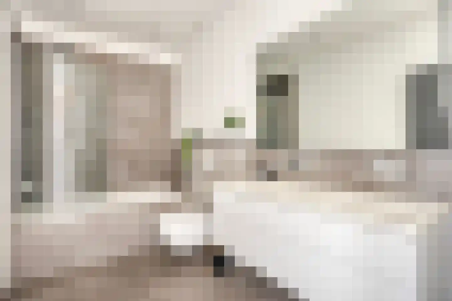 Burgtstraat 9 Boekel thumbnail 31