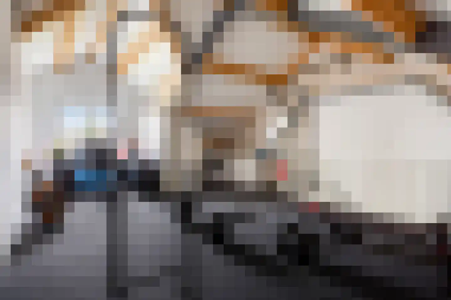 Burgtstraat 9 Boekel thumbnail 35