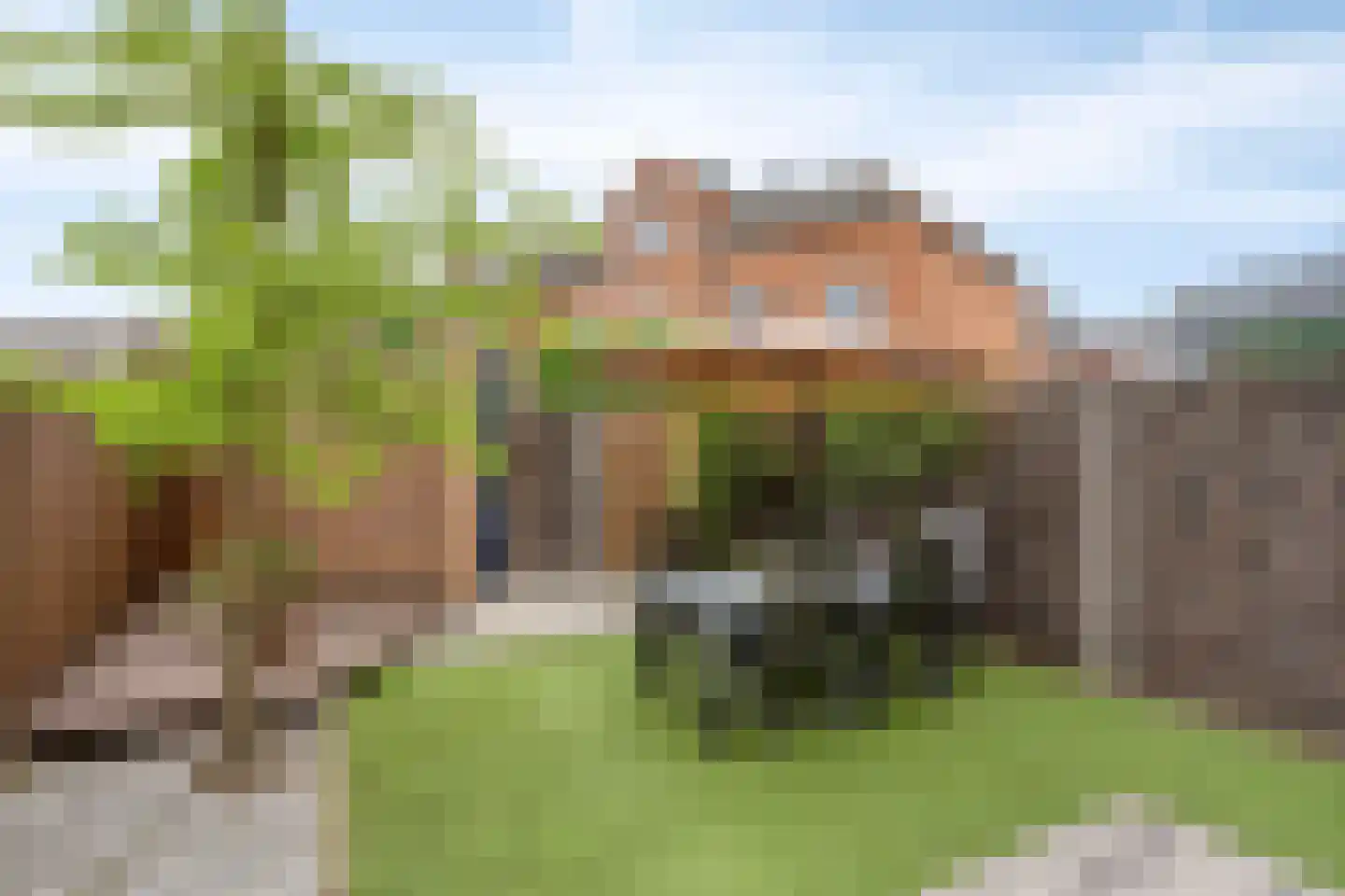 Burgtstraat 9 Boekel thumbnail 5