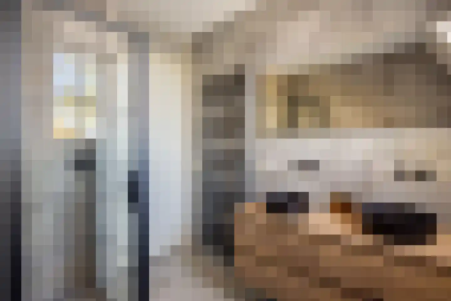 Burgveldweg 8 Meerlo thumbnail 26