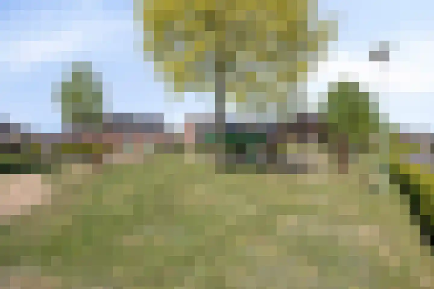 Burgveldweg 8 Meerlo thumbnail 41