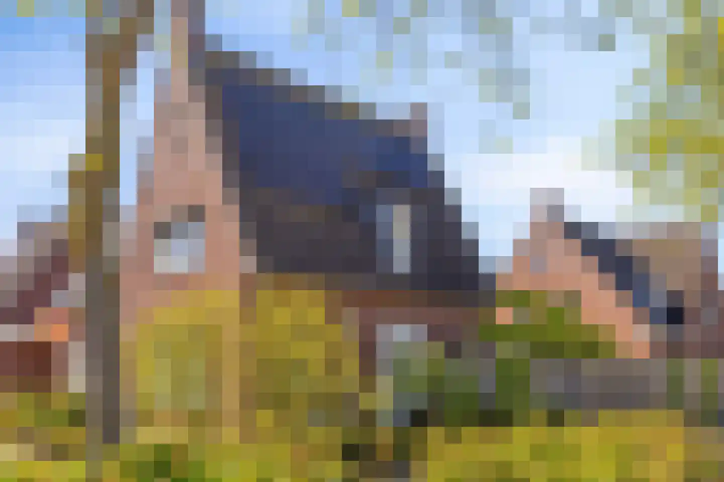Burgveldweg 8 Meerlo thumbnail 7