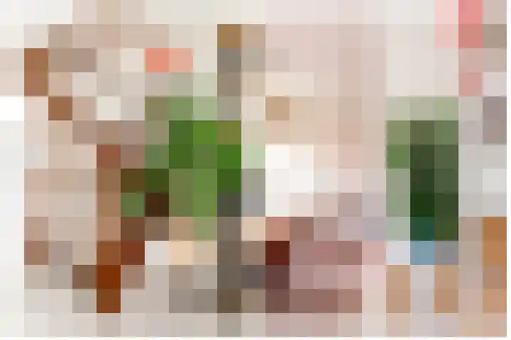 Burgvliet 113 Lelystad thumbnail 20