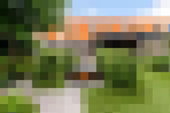 Burgvliet 113 Lelystad thumbnail 47