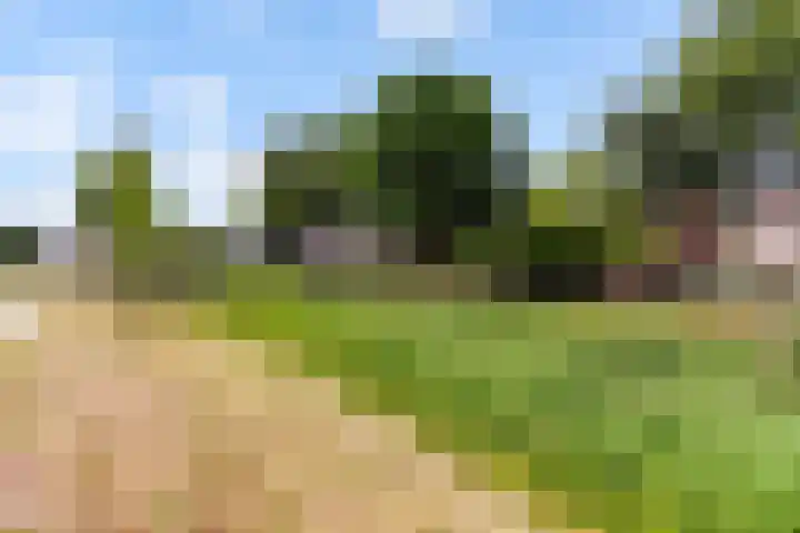 Burgvliet 113 Lelystad thumbnail 57