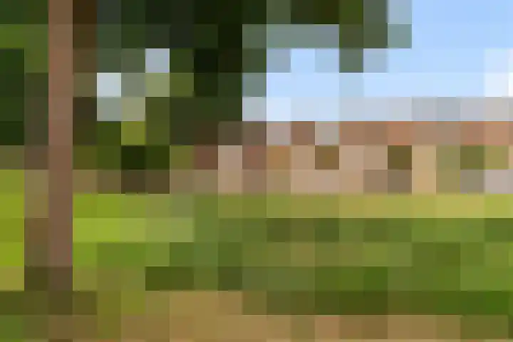 Burgvliet 113 Lelystad thumbnail 60