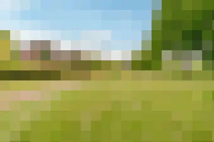 Burgvliet 140 Lelystad thumbnail 40