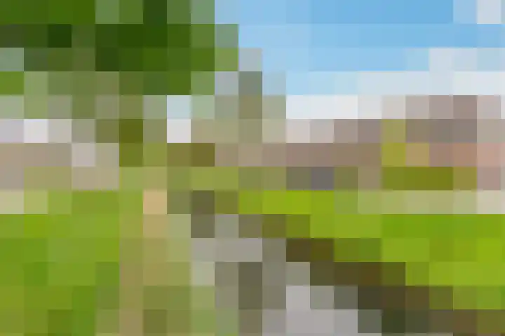 Burgvliet 140 Lelystad thumbnail 41