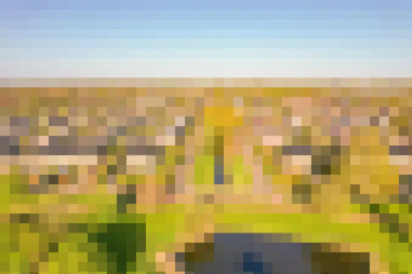 Burgvliet 160 Lelystad thumbnail 50