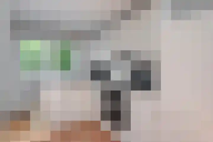 Burgvliet 25 Oostkapelle thumbnail 13