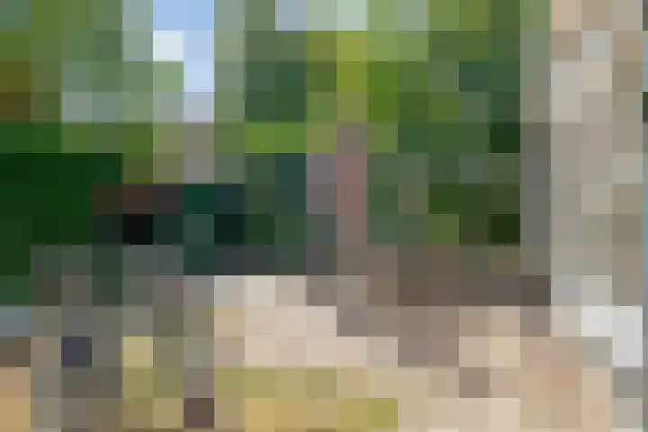 Burgvliet 25 Oostkapelle thumbnail 21