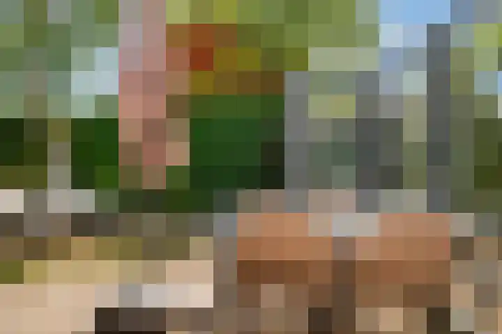 Burgvliet 25 Oostkapelle thumbnail 22