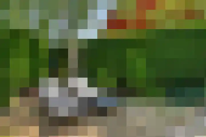 Burgvliet 25 Oostkapelle thumbnail 25