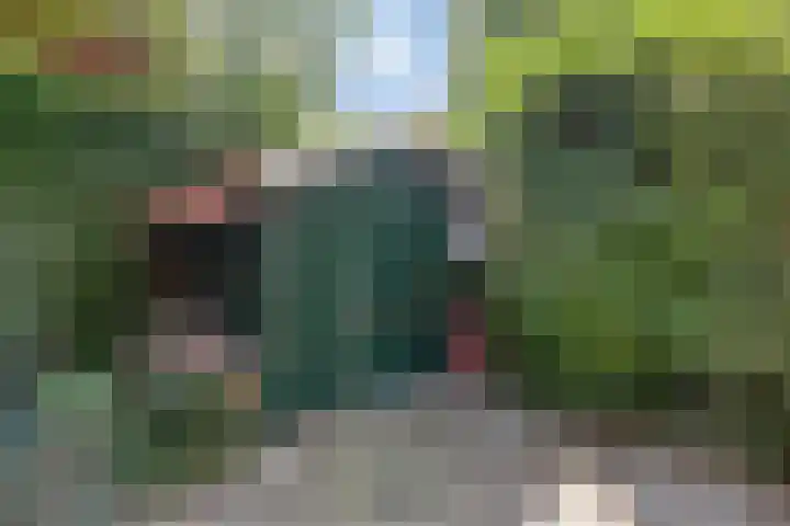 Burgvliet 25 Oostkapelle thumbnail 26