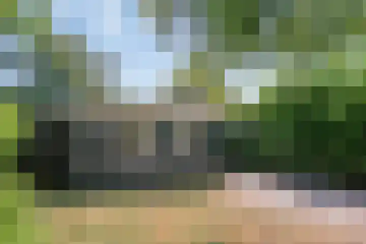 Burgvliet 25 Oostkapelle thumbnail 27