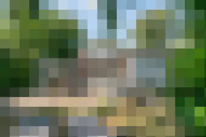 Burgvliet 25 Oostkapelle thumbnail 4