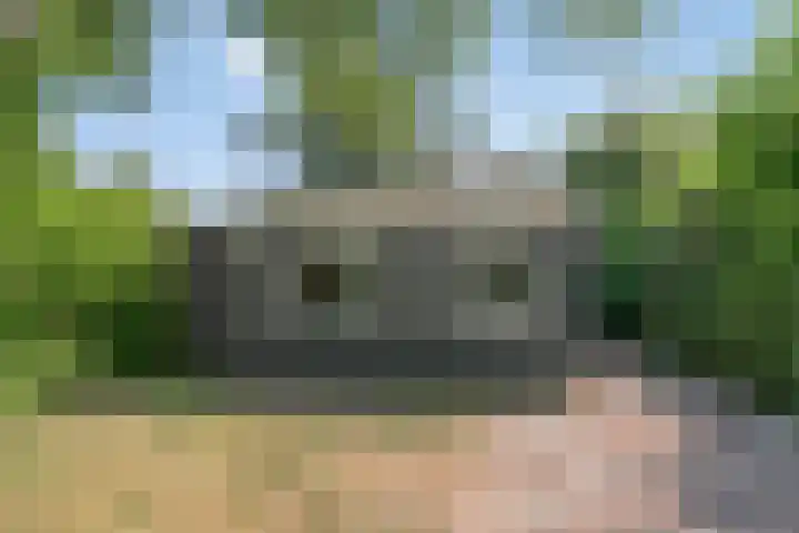 Burgvliet 25 Oostkapelle thumbnail 5