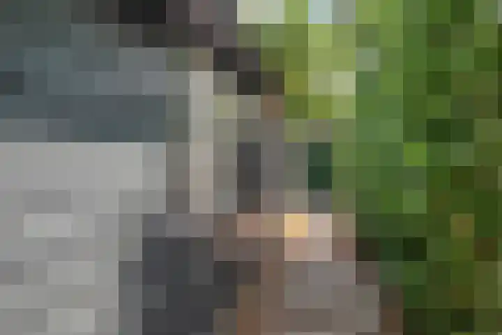 Burgvliet 25 Oostkapelle thumbnail 6