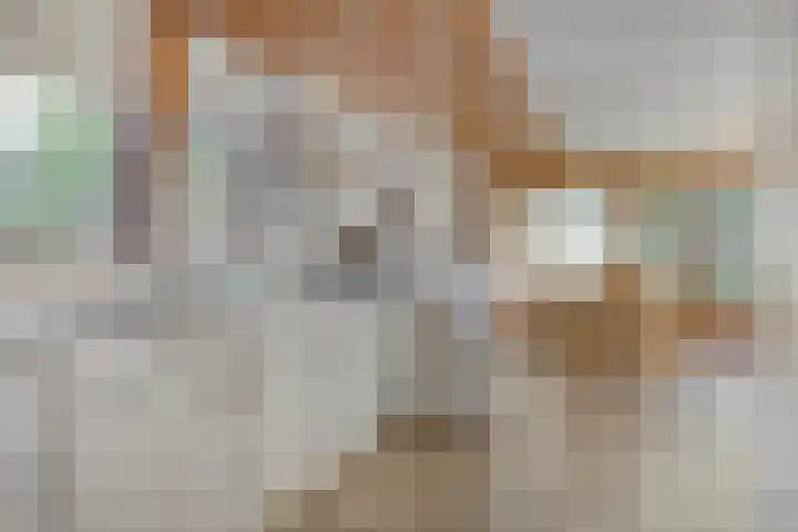 Burgvliet 61 Oostkapelle thumbnail 7