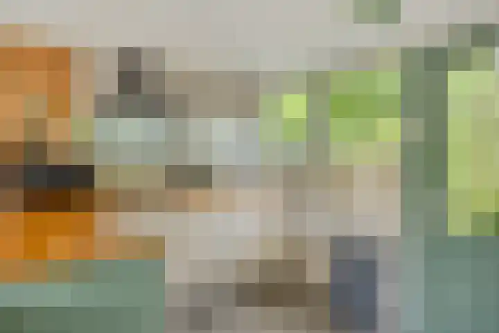 Burgvliet 69 Oostkapelle thumbnail 10